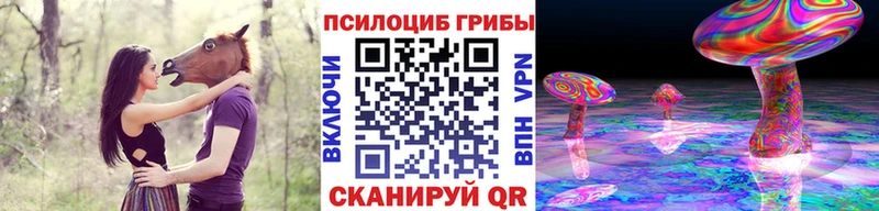 Псилоцибиновые грибы Psilocybine cubensis  хочу наркоту  Зея 